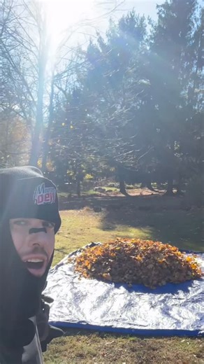 L.A. Beast on Instagram: "I just raked the last leaf 🍁 pile of the 2025 fall season. Saved $700 by doing it myself & got some solid exercise in during this 5 week process of leaf 🍁 hell. #leaves #fall #season #orange #labeast"