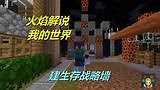 火焰解说 我的世界 4040 建生存战略墙