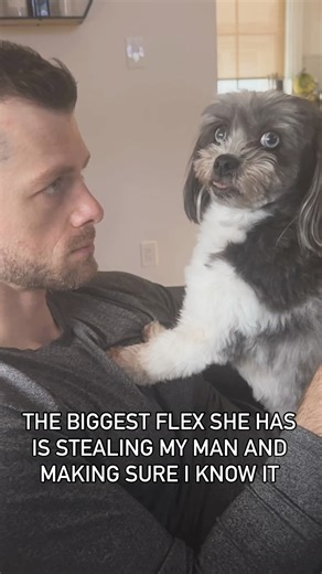 LAURA VANDERVOORT COATES (11:11] on Instagram: "And she always makes sure I’m watching 😂 @frankie_blueeyes"