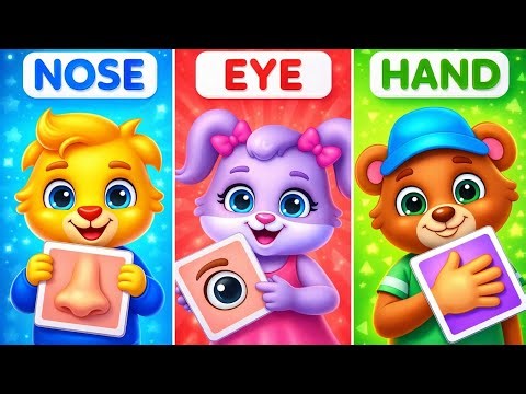 Body parts names song | learn parts of body | body parts rhymes for babies | toddlers learning video