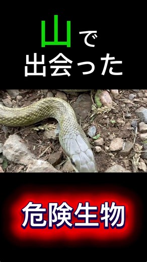 噛まれないように気を付けて‼︎