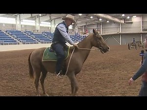 20th annual Horse World Expo gallops to Harrisburg Farm Show Complex