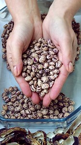 5.4K views · 64 reactions | BEANS FOR SHELLING  In years past, I've...