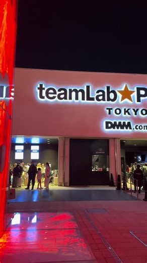 TeamLab Tokyo: Planets vs. Borderless Experience