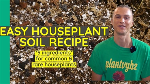 Watch Easy to Make Soil Substrate for Tropical Plants on Amazon Live