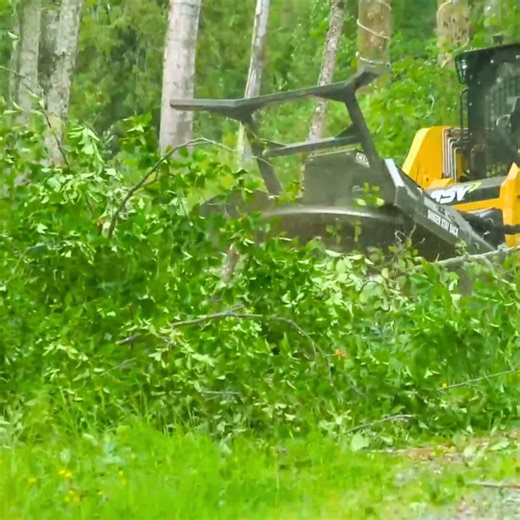 2.1K views · 16 reactions | Our Forestry Disc Mulcher powers through 6″ material in seconds and takes down 14″ trees with ease. With a fully machined 60″ disc, teeth on top and bottom, and a 1″ thick hinged deflector, it throws material clear while cutting below ground. When the job looks tough, this machine makes it look easy. #CIDAttachments #DiscMulcher #LandClearing #Forestry #HydraulicPower #Cutting | Construction Implements Depot | Facebook