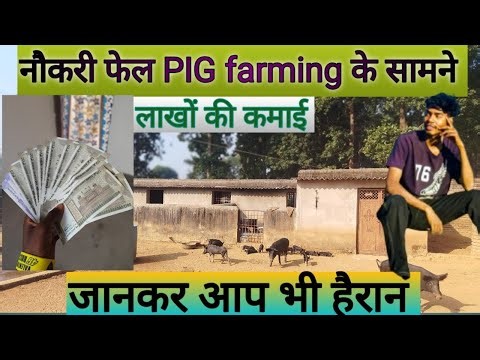 नौकरी फेल PIG farming के सामने। जानकर आप भी हैरान।#pigfarmer #videos