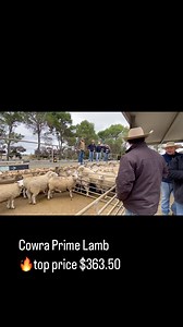 JJ Dresser & Co on Reels