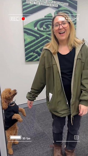 1.4K views | Happy International Dog Day  Wondering if you can claim...