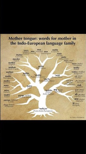 How Humans Created 7,000 Languages?