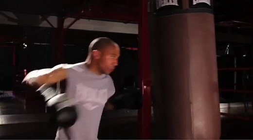 Everlast PowerCore Heavy Bag