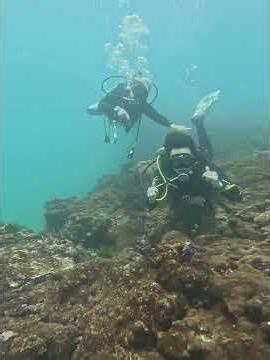 [Ocean log]2025/06/07 #scubadiving #ocean