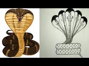 How to Draw five heads snake Detailed Drawing ....