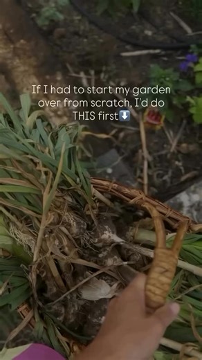 Annette Chenoweth on Instagram: "This might be controversial butttt… If I was starting my garden over from scratch, I would make it a priority to garden with raised beds. Now hear me out before you keep scrolling because you think that’s going to take a bunch of money. There are TONS of cheap options for a “raised garden bed” that could be used or classified as a raised bed without it costing you an arm and a leg. I have a little metal stock tank that was sitting in my grandma pasture that was g