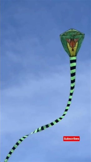 cobra kite #kitelover #kiteflying #kitefighting #shorts