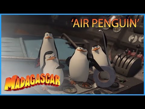 DreamWorks Madagascar | Welcome On Air Penguin | Madagascar: Escape 2 Africa | Kids Movies