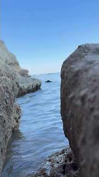 Calm Ocean Waves on a Rocky Shore | Sea Sounds for Sleep & Relaxation