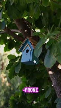 Deep Learning's Unseen Architectures