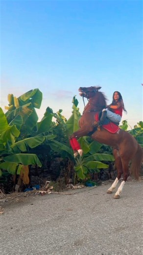 🐎 Girl Rides Horse at Full Speed! 🔥