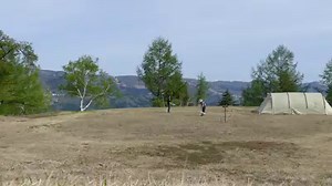 1.1K views · 90 reactions | We three definitely love to play this️❤️⚾ | Purin the Super Beagle | Facebook