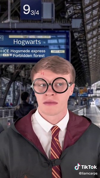Harry Potter Made in Germany | Funny German Memes