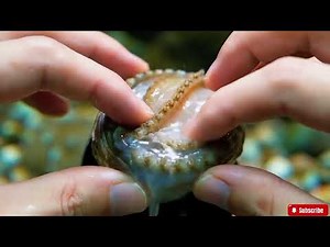 🔴 ASMR | How to Clean Abalone Perfectly | A Satisfying Deep Clean Seafood Tutorial