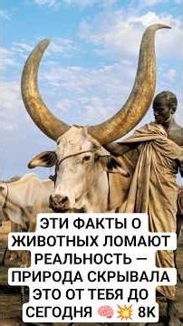 THESE ANIMAL FACTS BREAK REALITY—NATURE HID THIS FROM YOU UNTIL TODAY 🧠💥 8K #animals