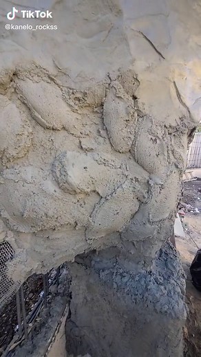 Exploring Different Types of Mold: A Comprehensive Guide