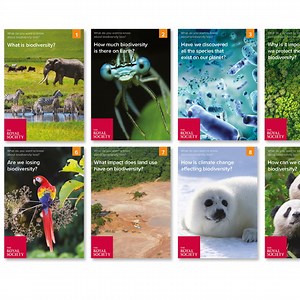 What do you want to know about biodiversity loss? | Royal Society