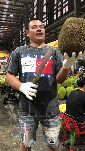 แดงใบเร่. สีปะเสีด บน TikTok