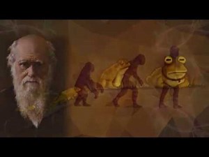 CREACION Y EVOLUCION