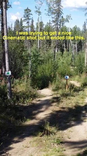 I was just trying to get a cinematic shot