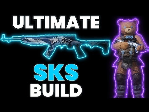 MOST OP SKS FROST VORTEX BUILD - ONCE HUMAN