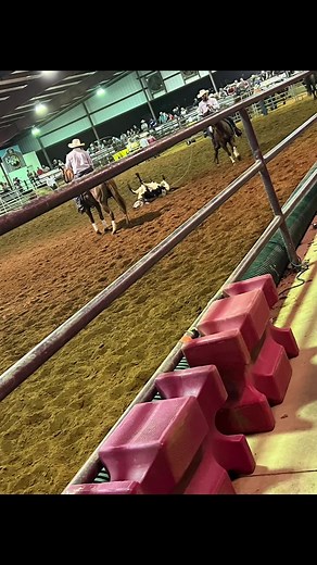 Rodeo!