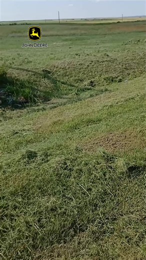 Mowing The Lawn John Deere S130 #johndeere #lawntractor