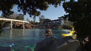 Finding Nemo Submarine Voyage