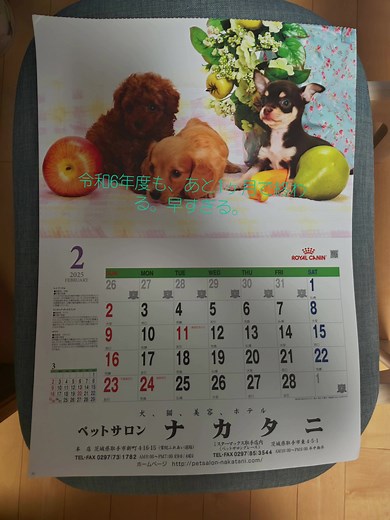 #2025 #2025年 #令和6年度 #令和7年 #カレンダー