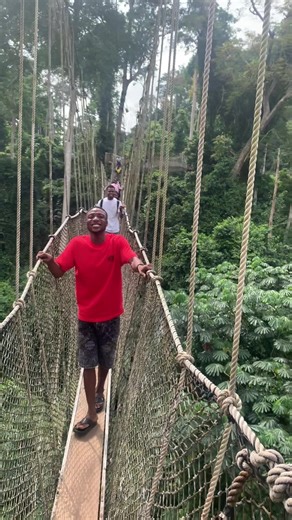 Funny Comment Reactions That Will Make You Laugh