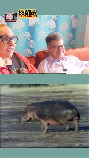 Watch Along The Rise and Fall of Reginald Perrin