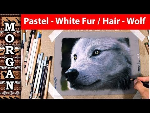 Realistic Wolf Drawing With Panpastels And Pastel Pencils: White Fur Tutorial | JasonMorgan.co.uk