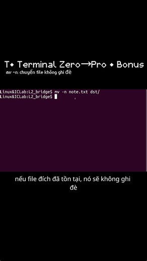 T• mv -n: chuyển file mà không ghi đè | Bonus (Terminal Zero→Pro) #ubuntu #terminal #xh #linux #code