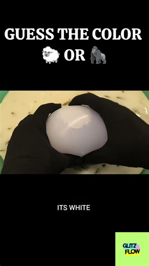 Can you guess The Hidden Color ?💥🤯#shorts #viral