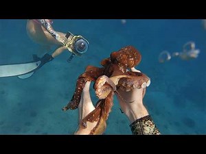 Divers catch HUGE octopus while exploring caves (raw POV)