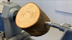 This pine shouldn’t look this beautiful