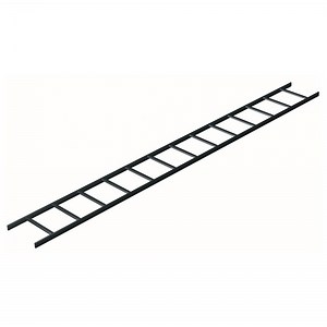 Data Center 10 Foot Straight Ladder Rack