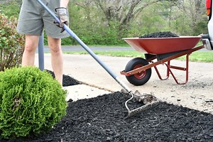 Does Thicker Mulch Prevent Weeds? A Home Gardener's Guide