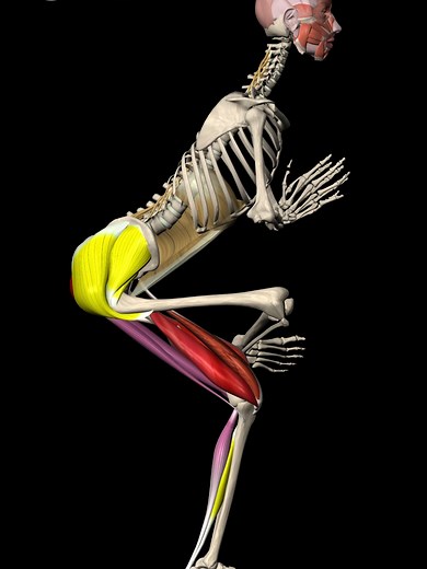 Tips for Mastering the One-Legged Chair Pose