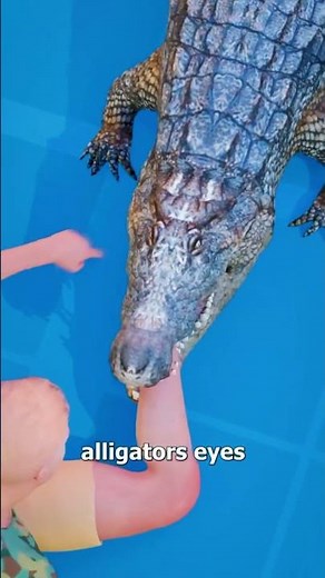 Most People Panic… This Is How You Escape an Alligator 🐊😨