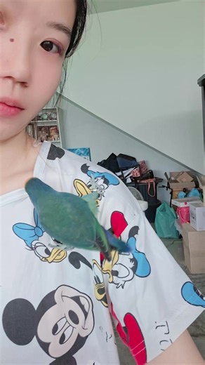 กู้ดสะมอร์นิ่งฮับ#คนรักนก #นกแก้ว #เลิฟเบิร์ด #parrots #lovebirds