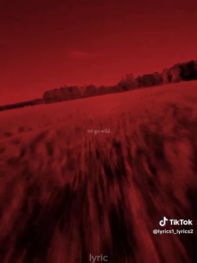 Serena - Safari | Song Lyrics